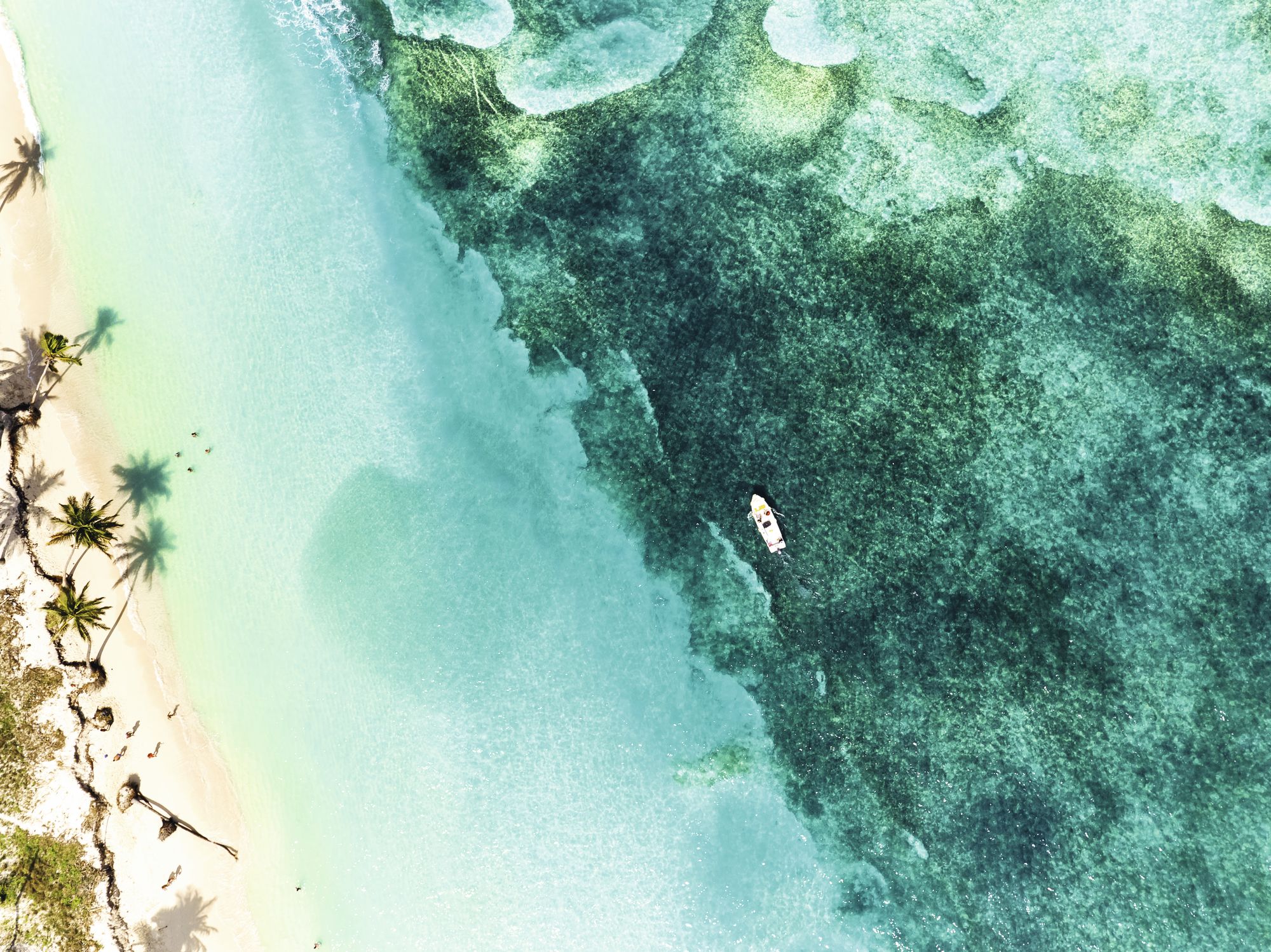 When is the best time to visit Dominican Republic | FirstChoice.co.uk