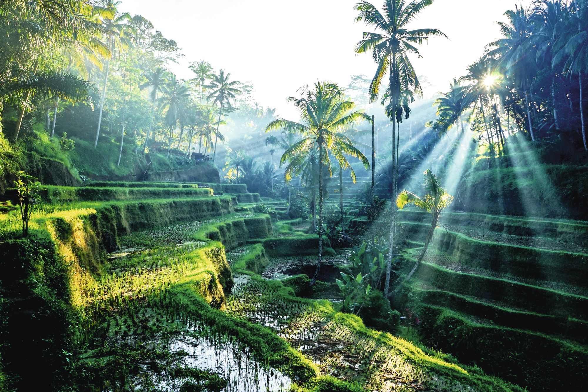 When is the best time to visit Bali | FirstChoice.co.uk